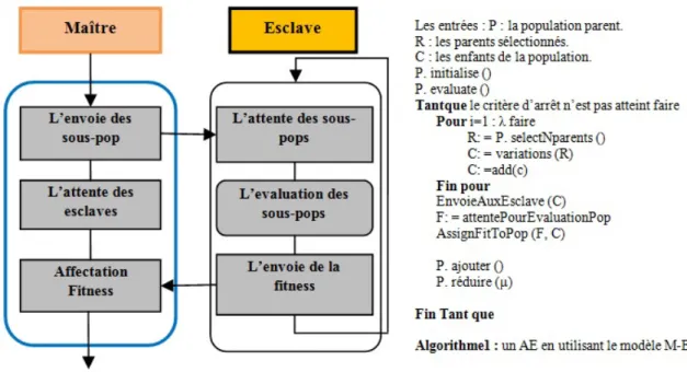 Figure 3.11 – Algorithme de l’évaluation au sein d’un modèle Maitre/Esclave.