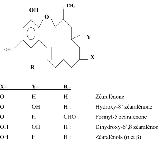 Figure 5: Structure de la ZEN et quelques-uns de ses dérivés CH3  