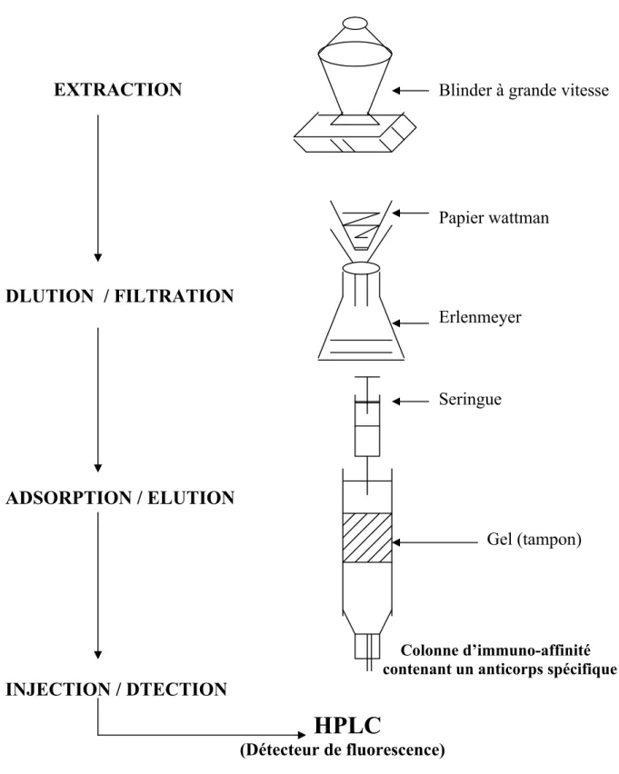Figure 8 : Schéma montrant les principales étapes utilisées pour l’analyse des  mycotoxines par HPLC