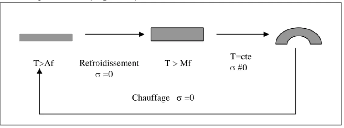 Figure 5: Mise en évidence de l'effet mémoire  simple sens  à partir d'un alliage initialement en phase austénitique.