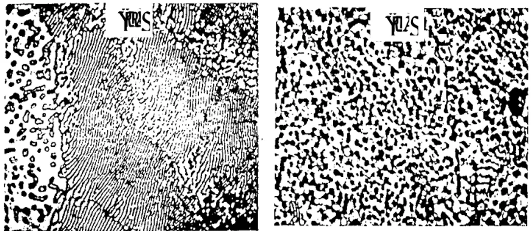 Figure 2: Clichés micrographiques de l’alliage solide eutectique Pb-Sn obtenus au cours d’un  refroidissement lent (a) et d’un refroidissement rapide(b) [9]
