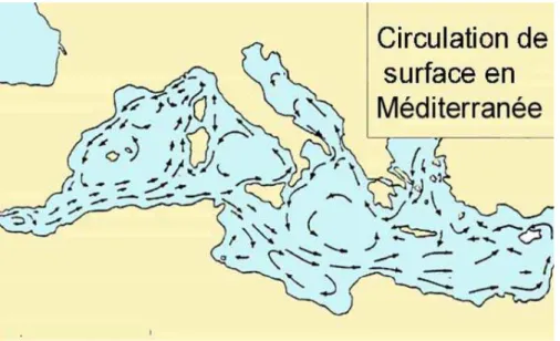 Figure 9 : Circulation générale de l’eau de surface en Méditerranée (d’après Millot,  1987)