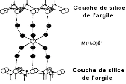 Fig. 6 : Structure générale des phyllosilicates [7].