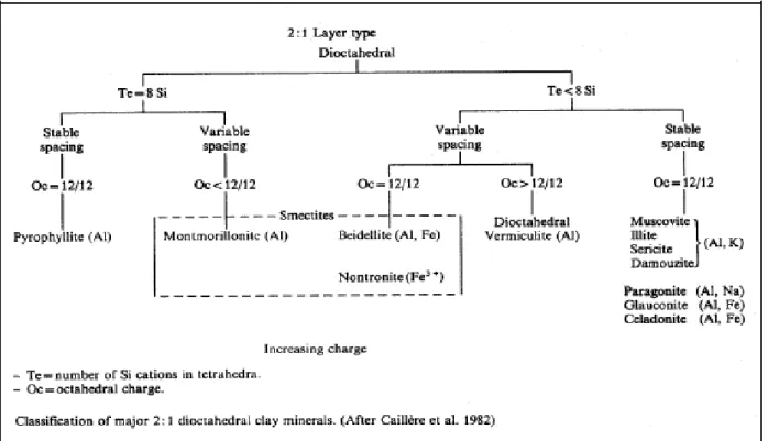 Fig. 10 : Classification des minéraux argileux 2/1 dioctaédriques [10]. 