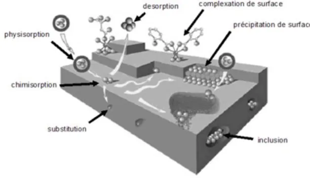 Figure 12. Principales interactions entre un atome ou une molécule et un solide à l’interface  solide/liquide