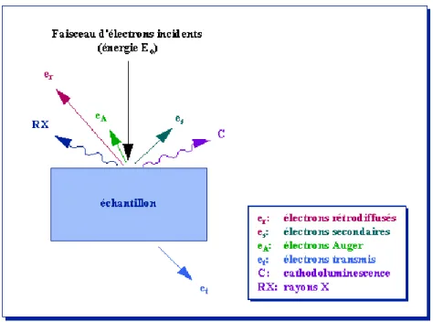 Figure 12. Représentation schématique 