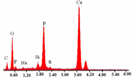 Figure III-3 : Analyse dispersive en énergie des rayons X (EDAX) des éléments chimiques  constitutifs du phosphate naturel