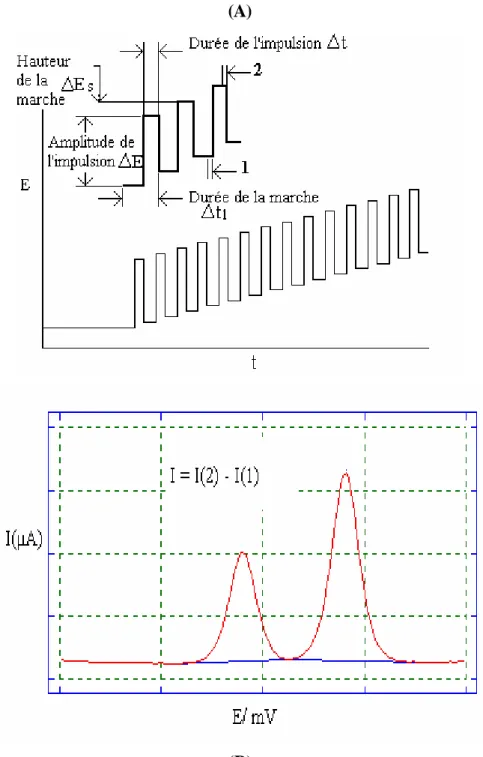 Figure  1 : la voltamétrie impulsionnelle différentielle. (A)  Le courant est mesuré juste  avant (en 1) et juste après l’impulsion de mesure (en 2)