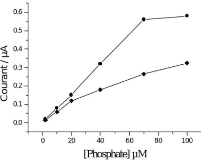 Figure 5 : Courant de réduction en fonction de la concentration du phosphate. L’électrolyte  support est celui utilisé dans la figure 2 ; potentiel imposé +0.3V par rapport à Ag/AgCl