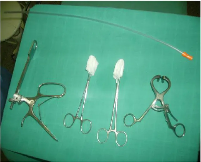 Figure 9  [5]  : Instruments utilisés lors de l’amygdalectomie au Slűder 