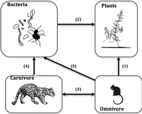 Figure 1.1 – Architecture globale de l’écosystème artificiel. (1) Comportement de four- four-ragement ou recherche de nourritures