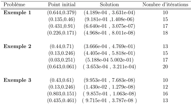 Table 2.1 – Résultats numériques de l’Algorithme 1, testé sur les exemples 1-2-3