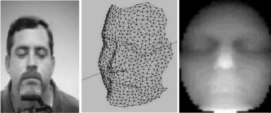 Figure 1.5: Face images; 2D intensity image, 3D mesh image, and range image.  