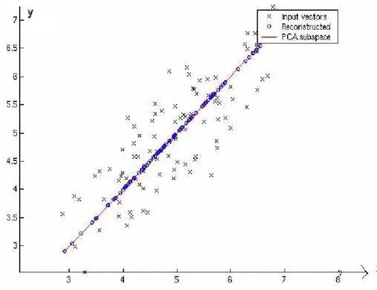 Figure 2.1: PCA- 2D data with the minimal reconstruction error 