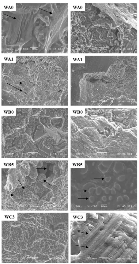 Figure 11. SEM micrographs of fracture surfaces due to fatigue failure of A357 aluminum semi solid  samples heat treated by multiple thermal aging cycles