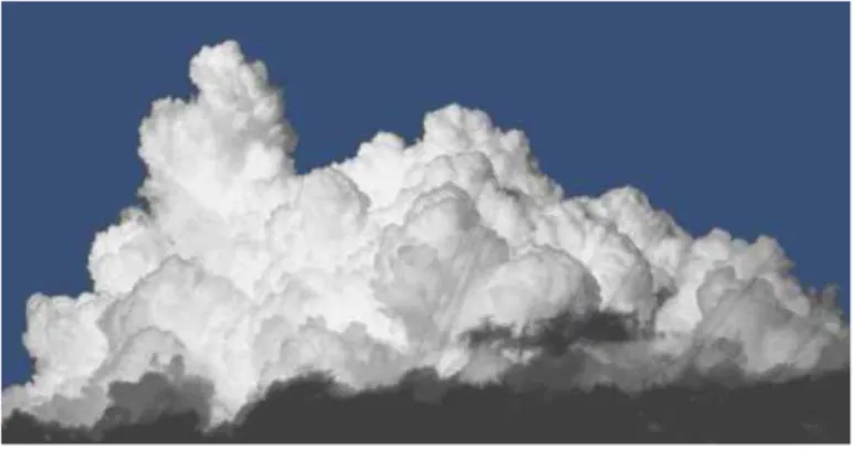 Figure 1.1 – Un vrai nuage de type Cumulus. C'est le genre d'image que nous cherchons à générer