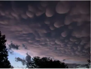 Figure 1.3 – Photo d’un nuage Mammatus. Est-ce réaliste ou irréaliste ? 