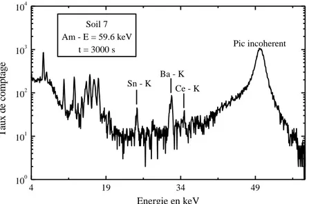 Figure II- 4 : Spectre de rayons X émanant d'une excitation par la source 