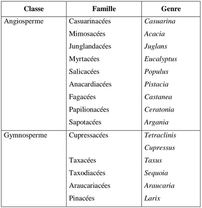 Tableau I. Principaux familles et/ou genre d’arbres formant les mycorhizes à arbuscules  