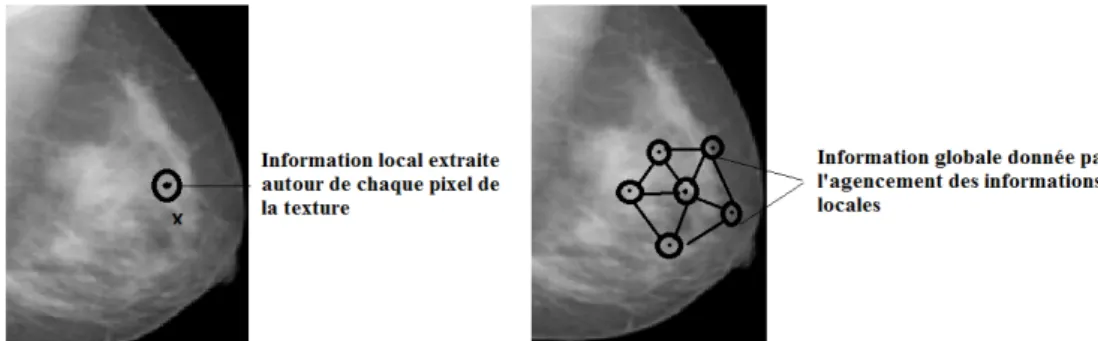 Figure 3.1 : Information locale et information globale 