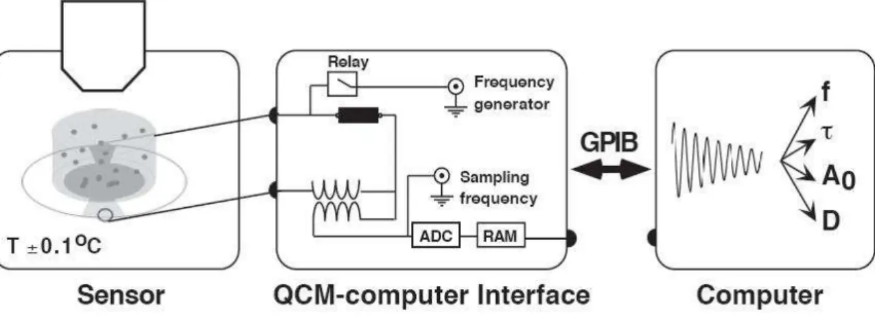 Figure 1.15 Microbalance à quartz et extraction du contenu des oscillations : Amplitude A 0 ,