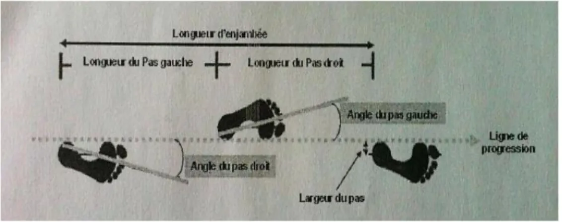 Figure 5: Une représentation des paramètres spatiaux [15] 