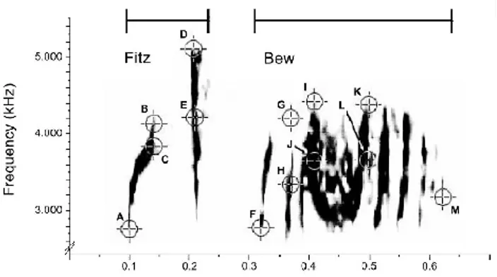 Figure 5. Spectrogramme du chant Fitz bew d’un moucherolle des saules (Empidonax 