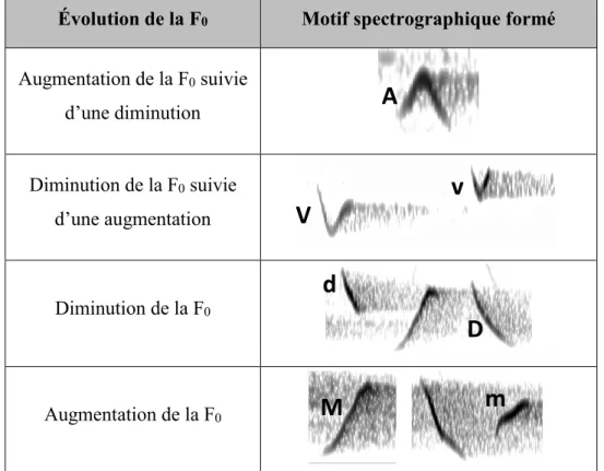 Tableau 1. Les sept types de notes répertoriées dans le chant de la paruline à gorge grise 
