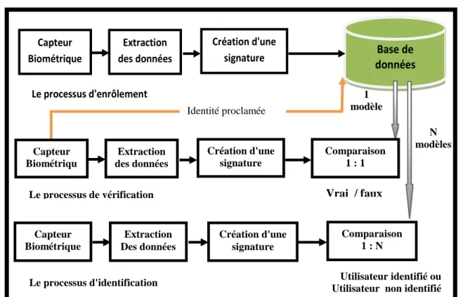 FIG 2:  Principaux modules d’un système biométrique ainsi que les différentes  modes [7]