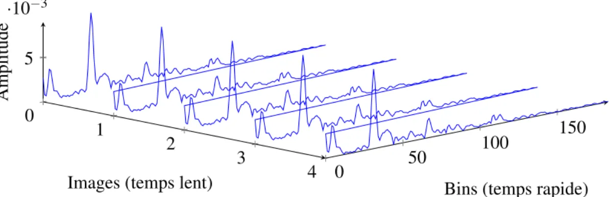Figure 5.4 : Représentation d’une fenêtre temporelle de 100 millisecondes (5 images) et des notions de temps rapide et de temps lent.