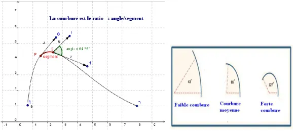 Figure 3. Les courbures 