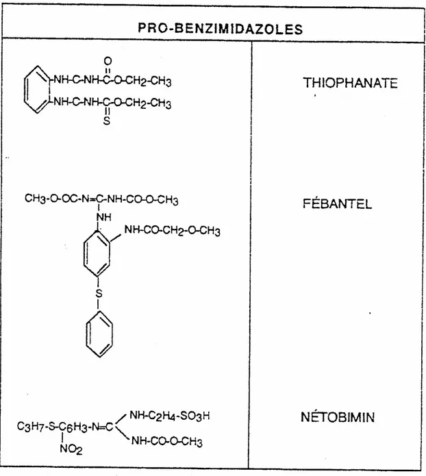 Tableau 5 : Structure chimique des Pro-benzimidazoles 