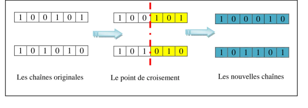 Figure 2.6 : Le croisement en anneau (ring crossover) 