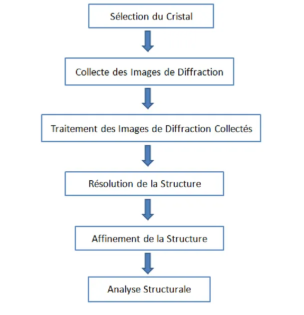 Figure 1  : Les étapes de détermination de la structure d’un monocristal à partir d’une  analyse de DRX sur monocristal 