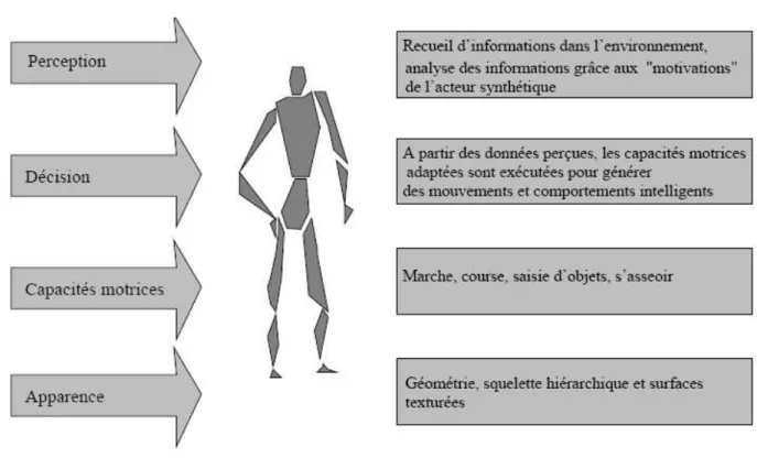 Figure  1-2 – Les modèles de l'humanoïde [Pan08].  1.3.3 Principe de sélection de l’action 