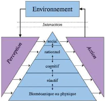 Figure  1-4 – Hiérarchisation des comportements illustrée par A. Newell dans sa pyramide  comportementale