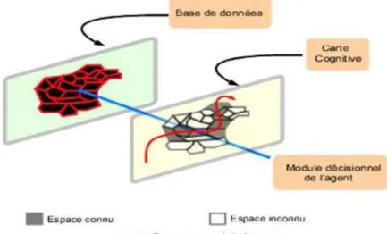 Figure  1-8 – La carte cognitive spatiale comme filtre dynamique de la carte topographique