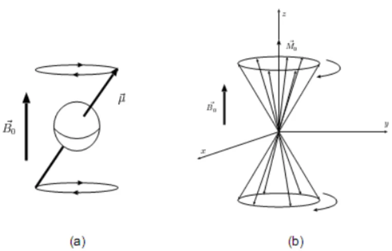 Figure I.7 Mouvement de précession en présence d'un champ magnétique