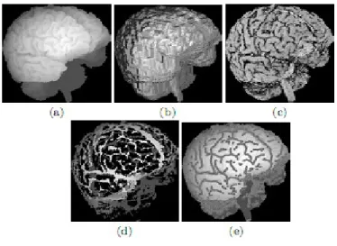 Figure II.19  Le processus de segmentation par projection sur l’enveloppe externe