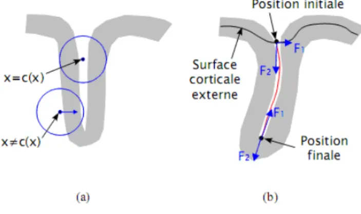 Figure II.24  Schéma des forces influant sur le déplacement du contour actif 