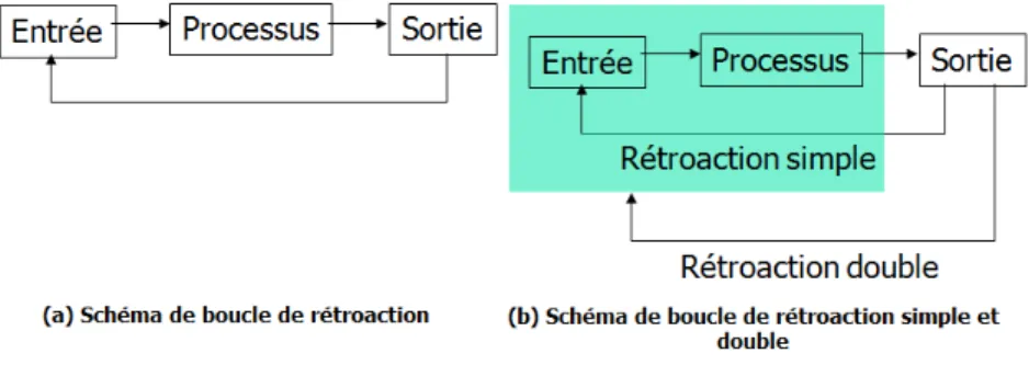 Fig. 2.6  Schéma de boucle de rétroaction simple et double, adapte de [Amma2007].