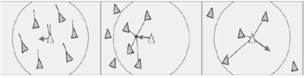 Fig. 2.14  Comportements de direction : alignement, cohésion et séparation, Adapté de [Reyn2001].