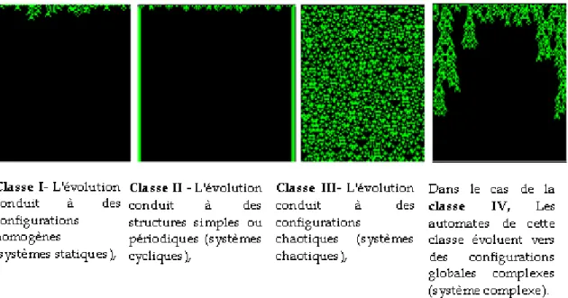 Fig. 2.21  Les quatre classes de ACs, Adaptées de Wolfram [Wolf1983]