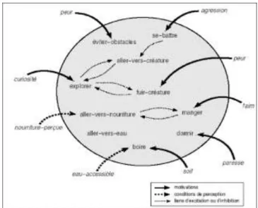 Figure 1.12 : Exemple d’architecture ascendante de P. MAES 