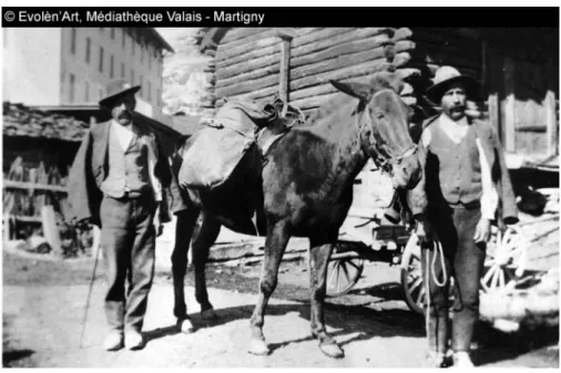 Illustration 4: Paysans avec un mulet à Evolène, val d’Hérens, entre 1900 et 1920, (Médiathèque  Valais – Martigny)