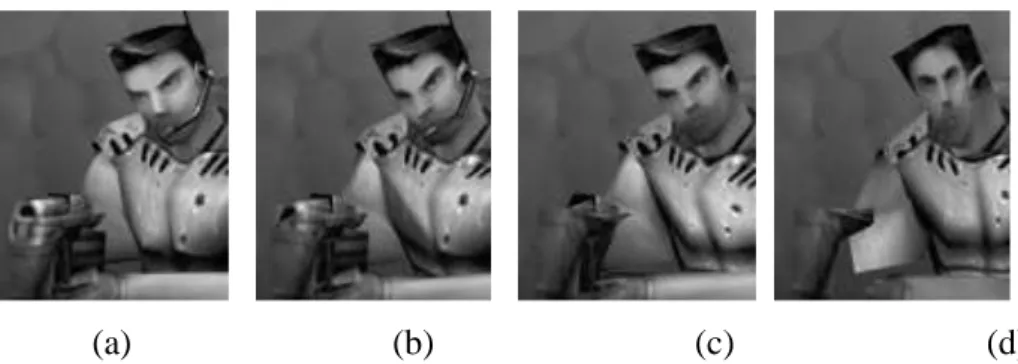 Figure 3.8 : Le niveau de détail en fonction de la distance  