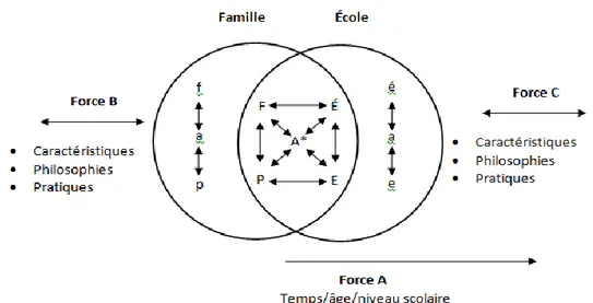 Figure 6. Modèle de l’influence partagée entre l’école et la famille d’après Epstein 