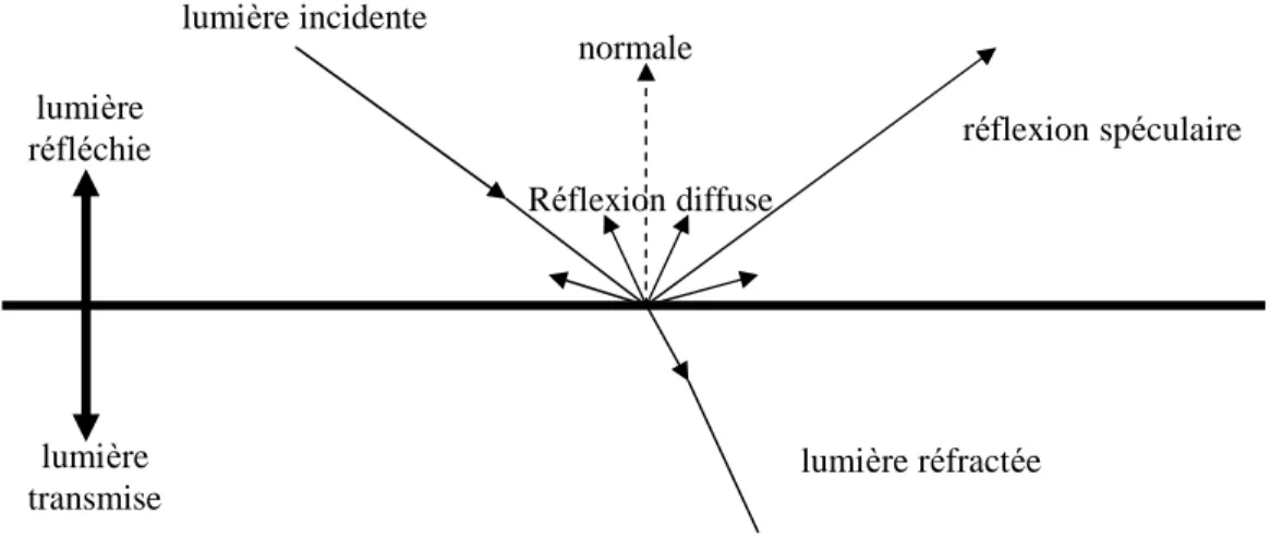Figure 2 : Une partie du flux lumineux est absorbée par le matériau. 2.2.4. Modèle diffus