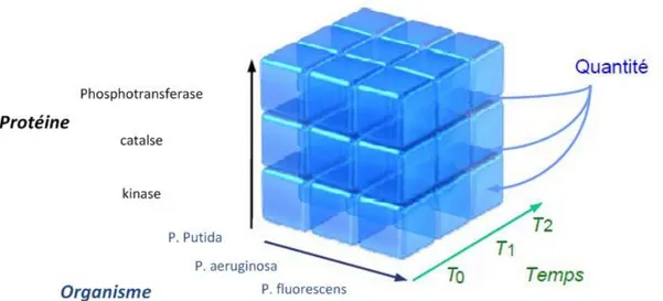 Figure 13. Exemple de cube de données 