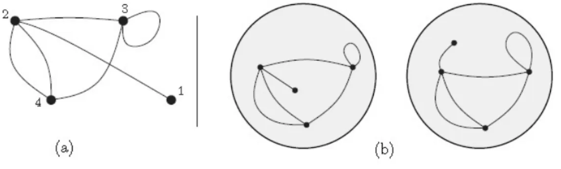 Figure 1.17: (a) A representation of a graph; its set of vertices is {1, 2, 3, 4}, and (multi)set of edges is {{1, 2}, {2, 3}, {2, 4}, {2, 4}, {3, 3}, {3, 4}}